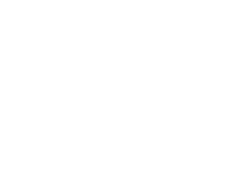 BANDIT 65